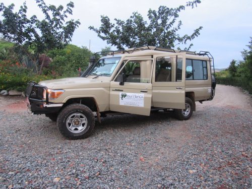 4x4 safari land cruiser used for game drives