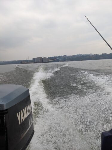 outboard engine on the sport fishing boat